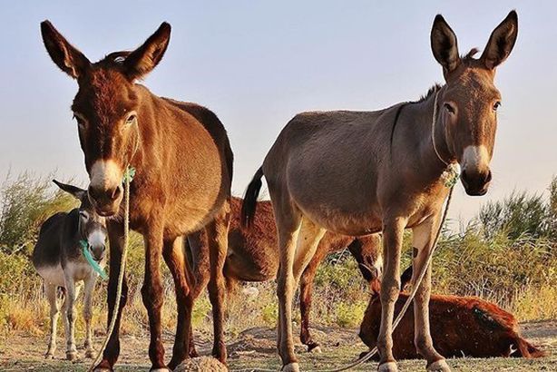 c6936dea-3eea-4e02-a029-55efbfedac7b