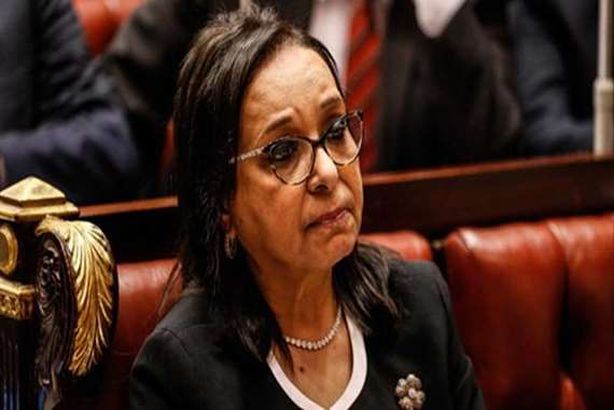 أنيسة حسونة، عضو مجلس النواب