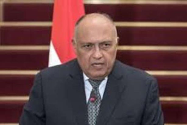 أول رد مصري على دعوات حرق علم الكويت