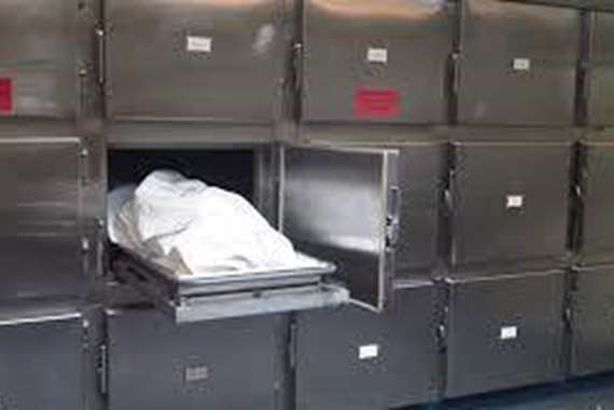 هزّت الهرم.. جثة سيدة مقطعة داخل ثلاجة