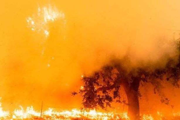 حرائق كاليفورنيا