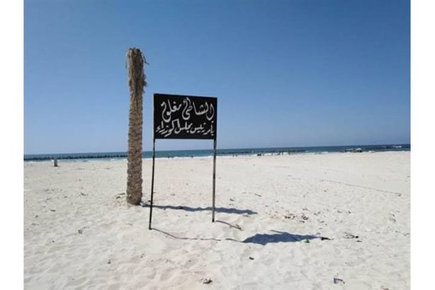 شاطئ النخيل