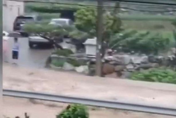 صورة من الواقعة