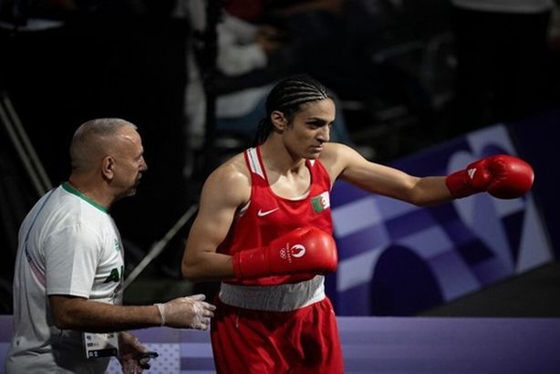 66ae38114c59b7790d78b6b1