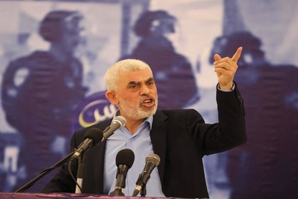 66bbe29e4236045edf34652c