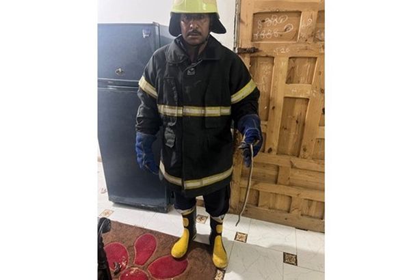 74957ad2-2e1f-41d4-8_728_100534