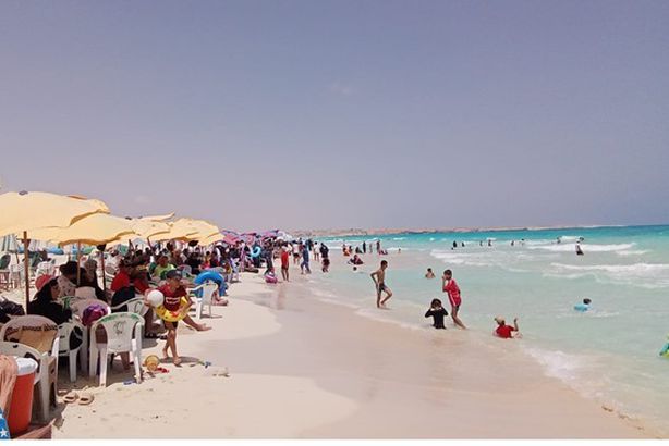 19_2024-638567606228522442-852