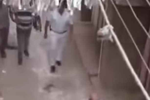 7123160596920250825090713713