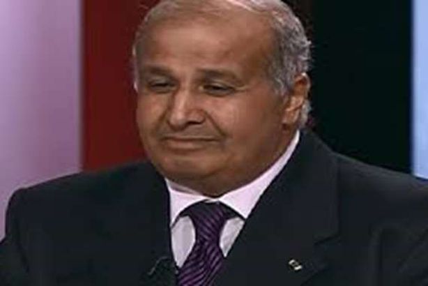 اللواء محمد زكي الألفي