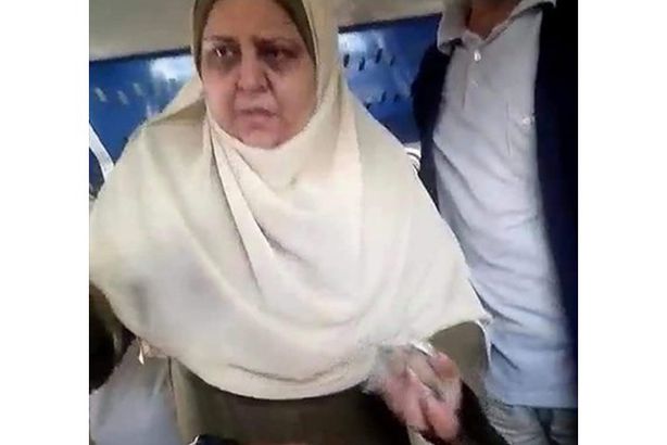 سيدة القطار