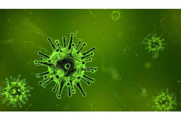 D8DBBA6930CEF45B459F8E5A34AAE35C