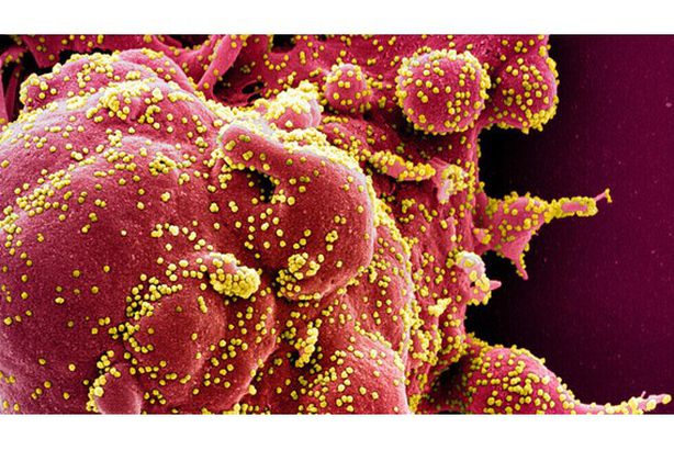 5f5f2bb442360415c4617b23