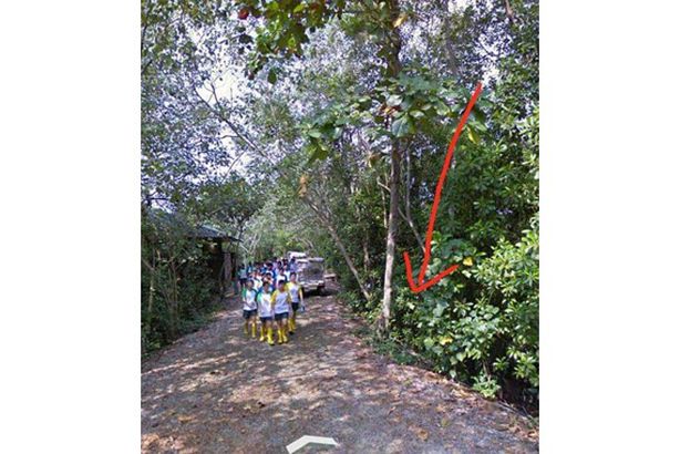 received_602773047271838