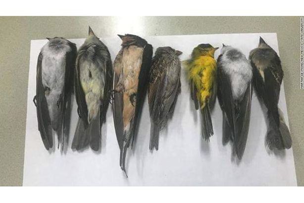 received_782833169170759