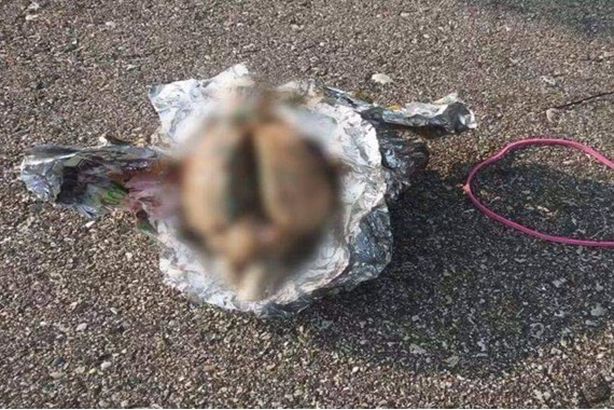 received_980958548982317