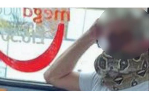 ليست نكتة.. يضع ثعبانا بدل "الكمامة"
