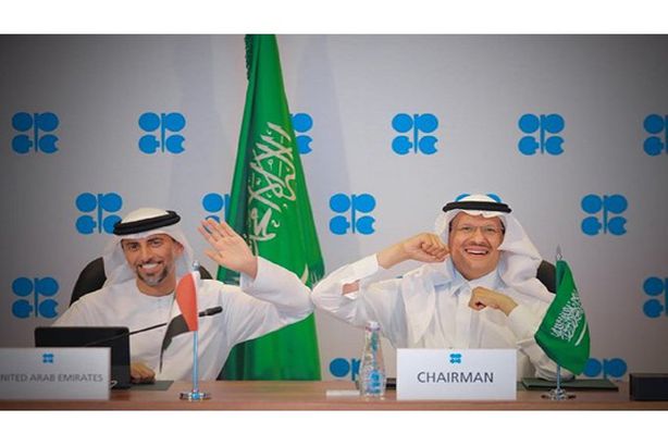 لقطة عفوية لـ " بن سلمان" مع وزير الطاقة الإماراتي
