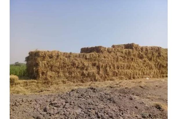 FB_IMG_1600452170633