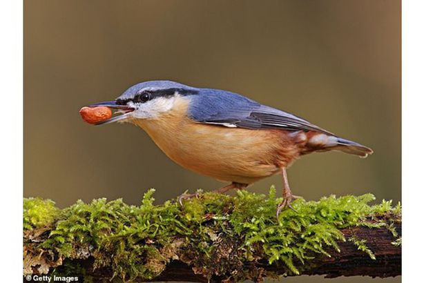 33381218-8751307-image-a-1_1600548553824