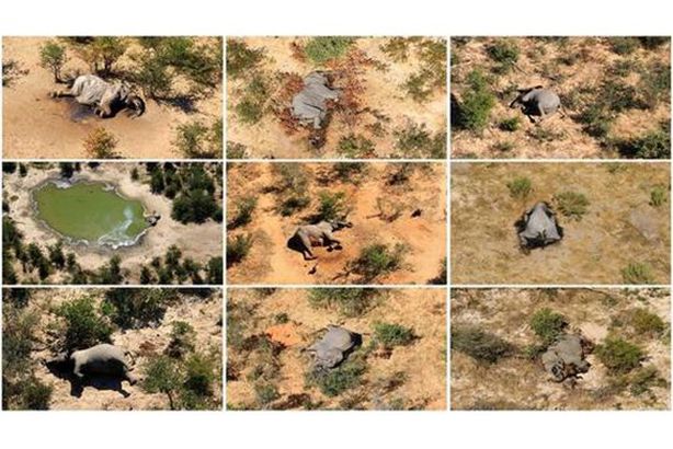 5f68bd3f423604226e262851