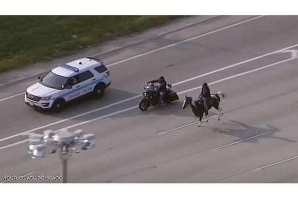 مقطع من الفيديو