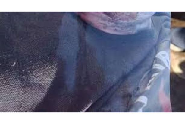 بتحريض من والدتها.. مراهقة تنهي حياة زوجة أبيها بهذه الطريقة
