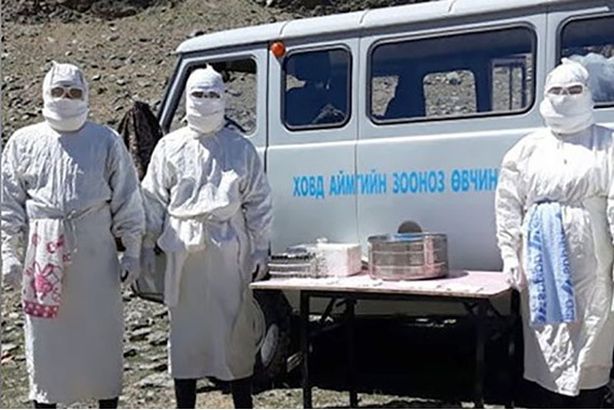 وفاة ثالث ضحية بالطاعون في منغوليا