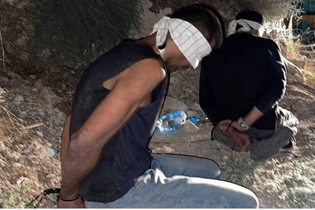 613c4b7e4c59b759f40dab17