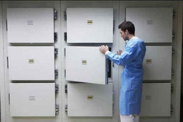 coptstoday-11510159008