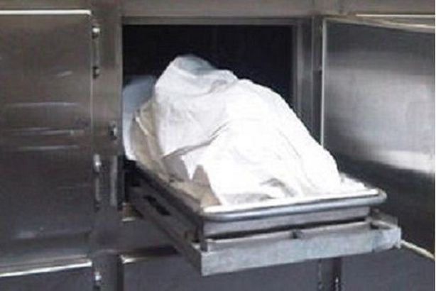 f37477cd-b676-43d0-a7c7-01197405d88a