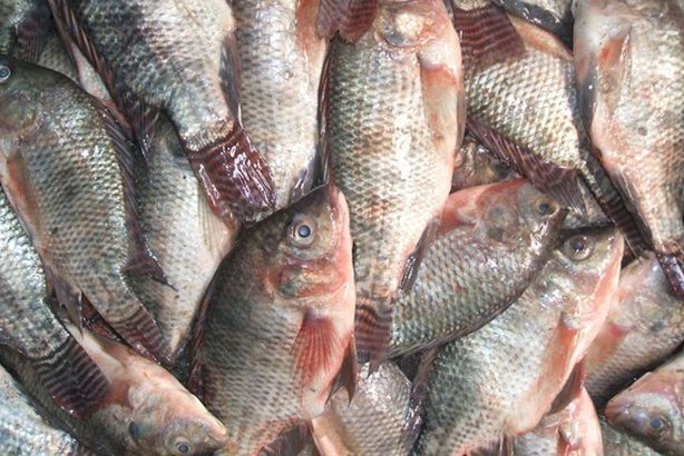 mebusiness.ae_1521999531