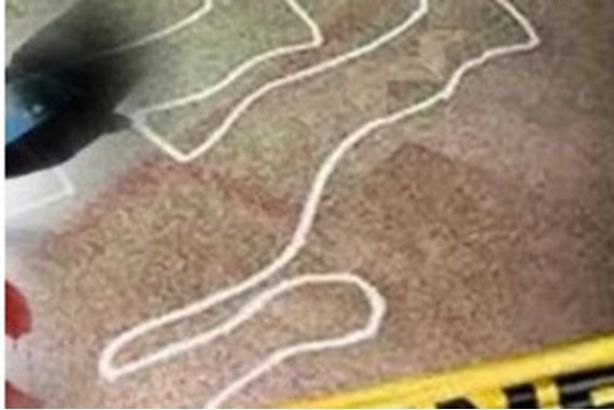 9a5e5f85-b4d7-40a5-8bc6-54e38090651e