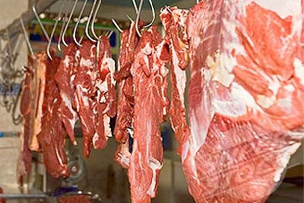 19_2018-636717497681774076-177