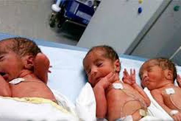 سيدة تضع 3 توائم بمستشفى العريش العام