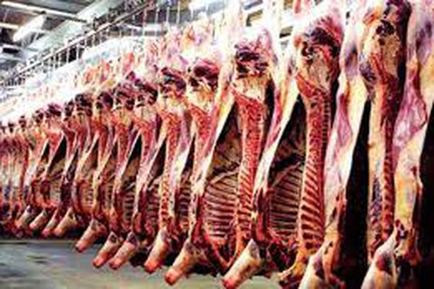 شباب الأزهر يدشنون حملة صكوك الأضاحي بجميع محافظات مصر