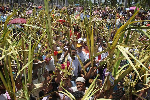 اليوم.. الأقباط يحتفلون بـ"أحد الشعانين"