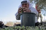 تعبيرية