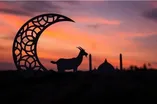 تف