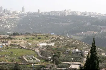 ارشيفية