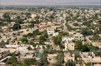 الشونة الجنوبية