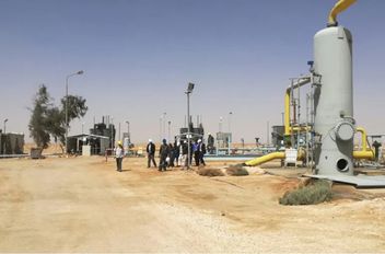 حقل الريشة