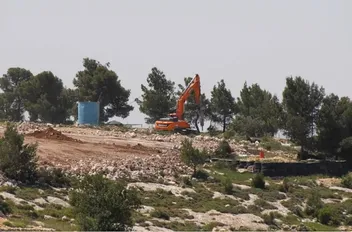 ارشيفية