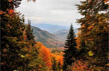 أجواء خريفية لطيفة في انتظار الأردنيين الخميس