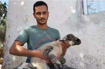 لبلا