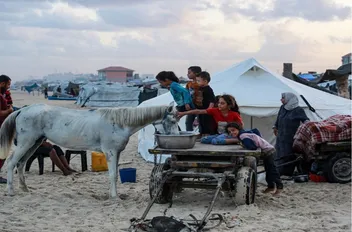 فلسطينيون على انقاض النزوح في غزة