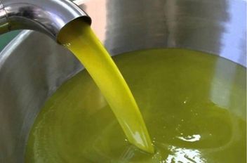 مطالب بالكشف عن تفاصيل معصرة الزيت المغشوش.. ومخاوف من تضرر سمعة زيت إربد
