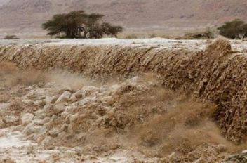 مشاهد لجريان المياه في الأودية والعبّارات بعد أمطار الخير - فيديو