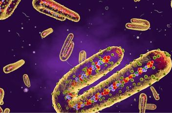 إثيوبيا تعلن تفشي وباء "ماربورغ" جنوب البلاد
