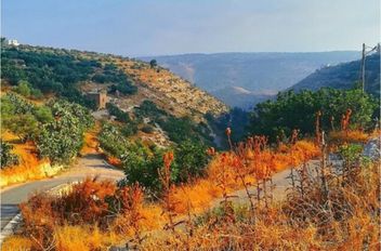 طقس خريفي لطيف الأربعاء وتحذيرات من الغبار شرق المملكة