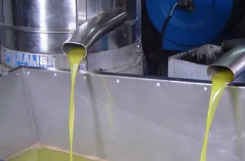 المواصفات والمقاييس : التحقق من 108 موازين في 66 معصرة زيتون هذا العام
